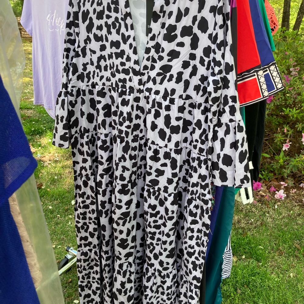 Women’s dress